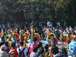DSC 0347