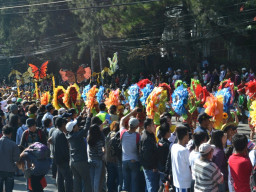 DSC 0348