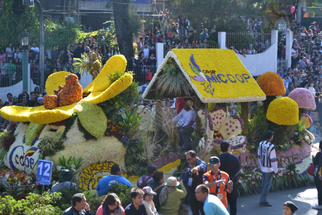 DSC 0975