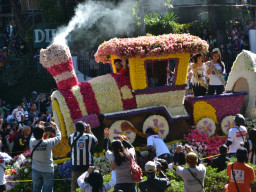 DSC 1016