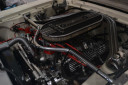 DSC 0219