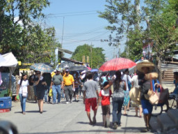 DSC 0019