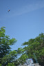 DSC 0021
