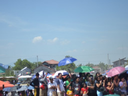 DSC 0047