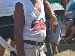 DSC 0071