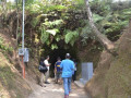 DSC 0531