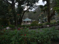 DSC 0753