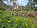 DSC 0545