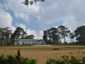 DSC 0603
