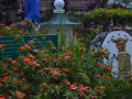 DSC 0761