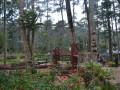 DSC 0565