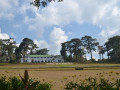 DSC 0607