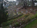 DSC 0791