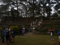DSC 0801