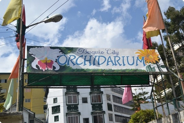 Baguio City Orchidarium