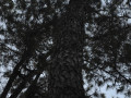 DSC 0743