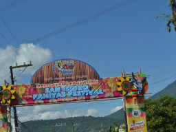 DSC 0195