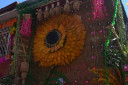DSC 0199