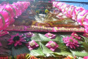 DSC 0206
